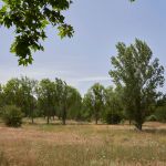 Terrain à batir à Bourg St Christophe  nouveau et introuvable à ce prix