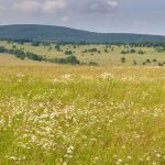 Votre terrain à Ville sur Jarnioux au coeur des pierres dorées